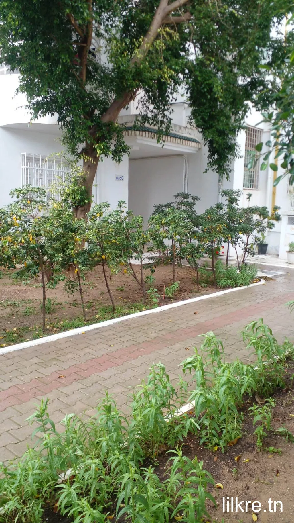 appartement s+3 à louer à cité Essahafa