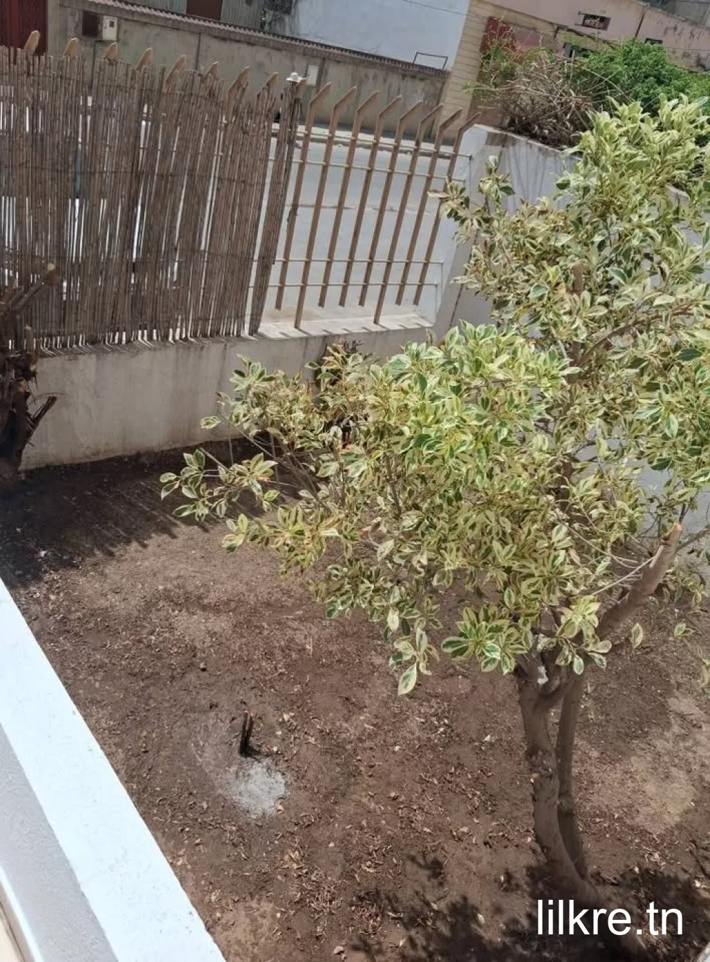 A louer  un appartement  a yasminette 