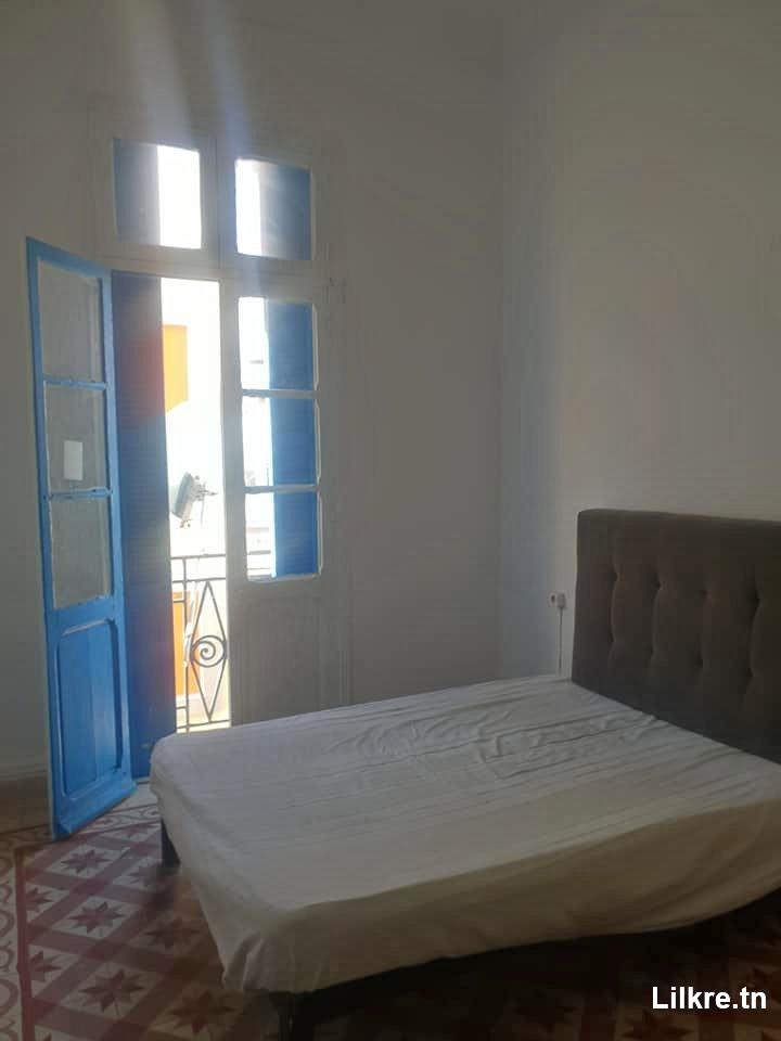 A louer un Appartement S+1 Meublé au Passage Tunis .