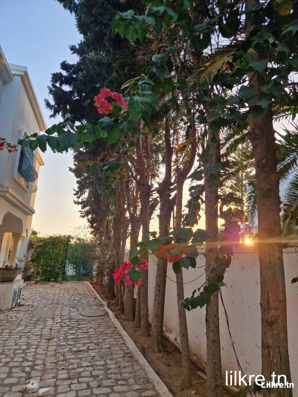 Villa  de luxe à Yassmine Hammamet