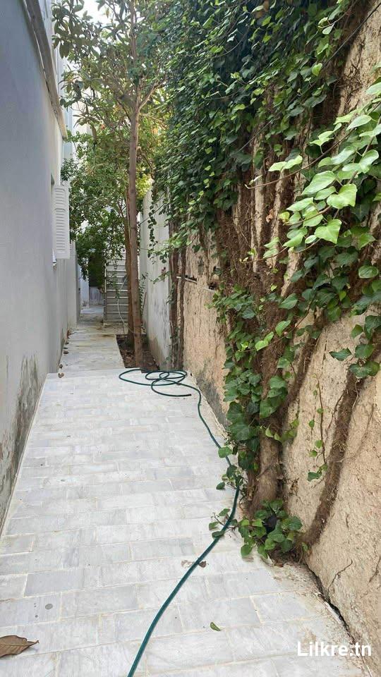 A louer un appartement s+2 a la marsa jbal khaoui