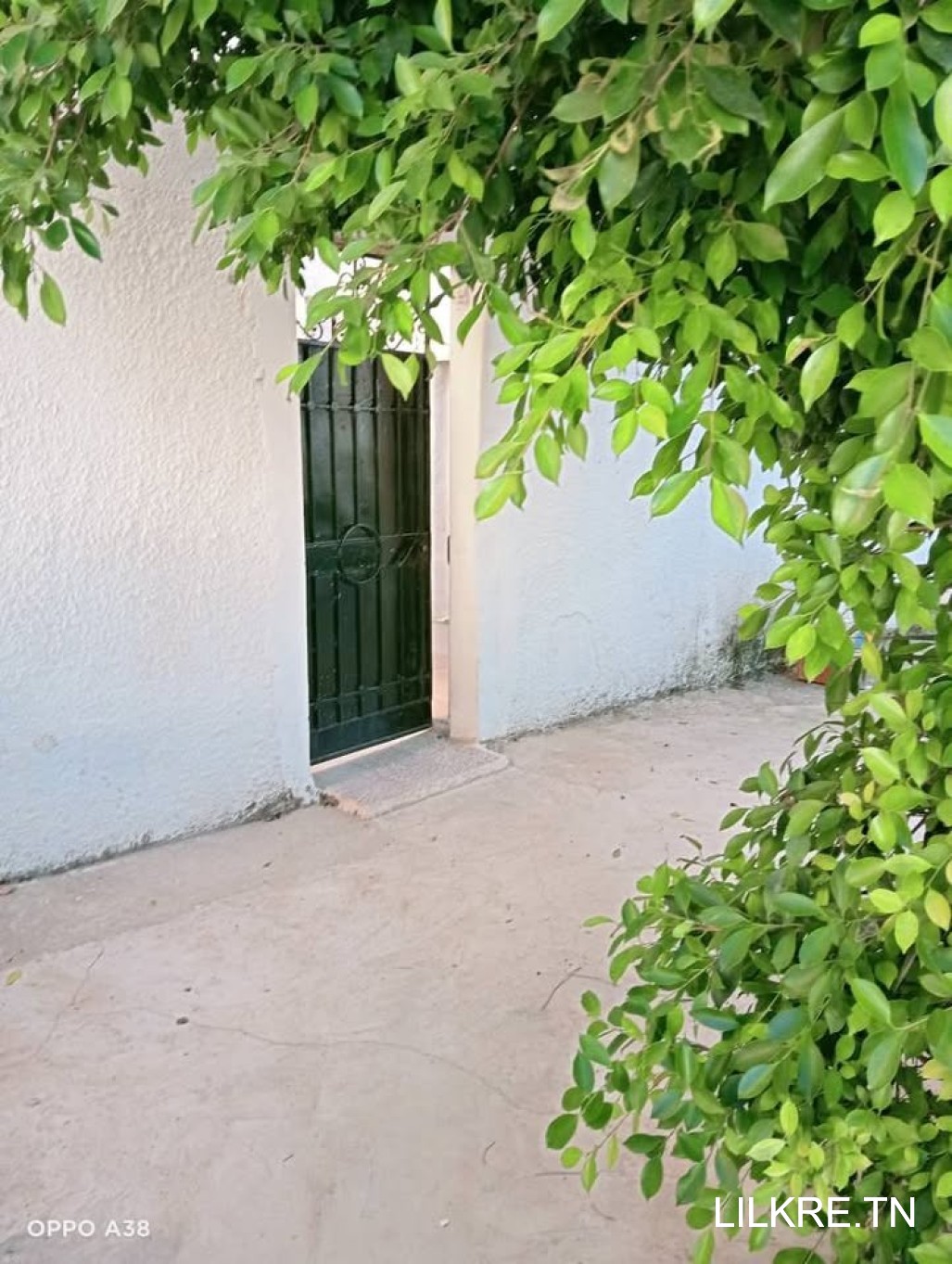  Studio a louer a ouardia 4