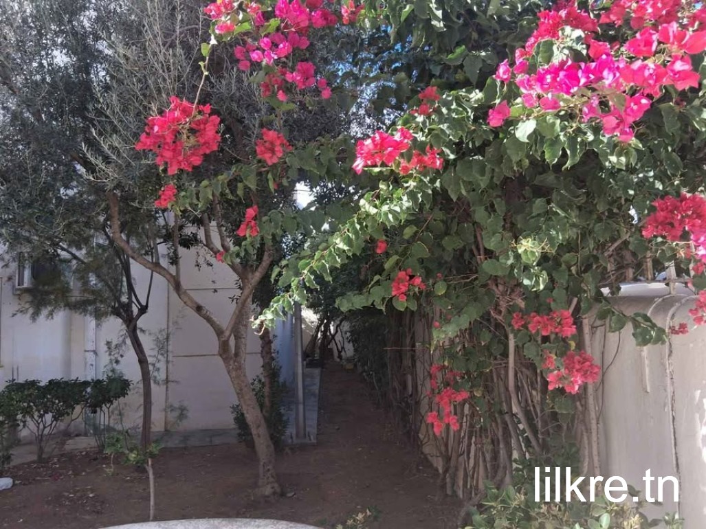 Appartement Cité Ennasr 2 : 3 Ch, Terrasse, Calme