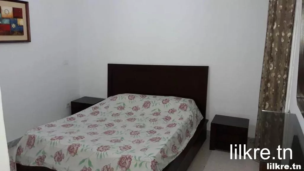 location un  Appartement S+1 Richement Meublé à Tunis Aouina 
